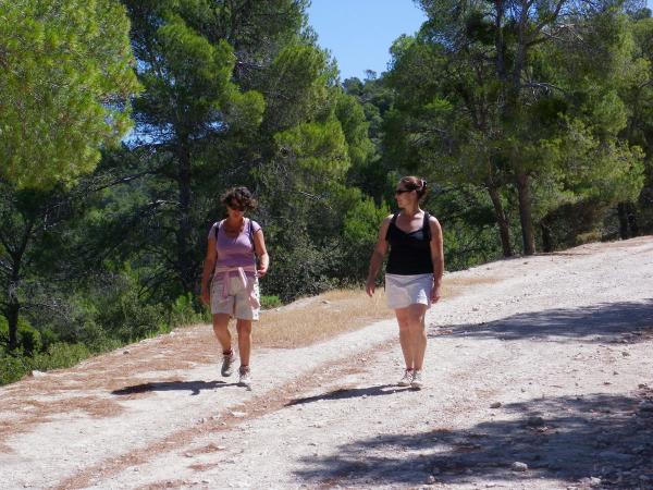 en descente